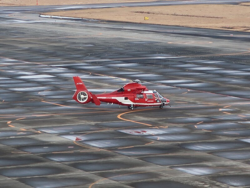 2025.1.20 (24) なごやくうこう - あかしろへり 1600-1200