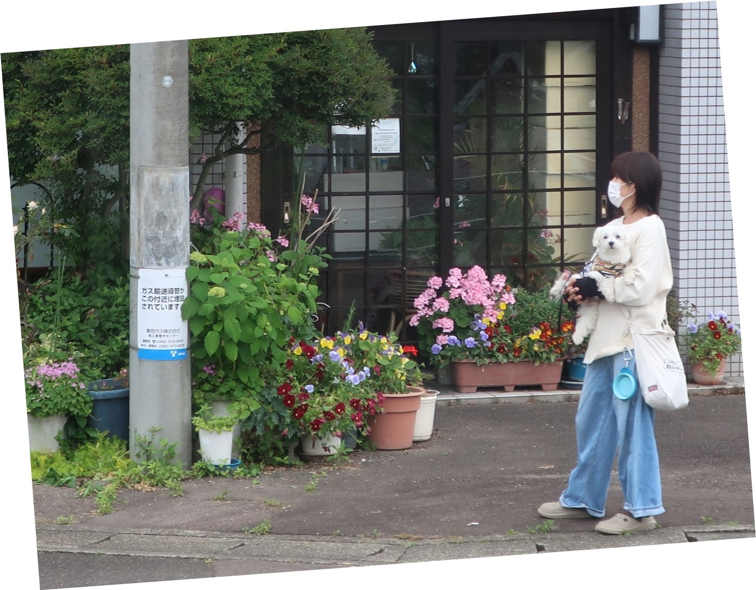 2025.5.27 (38) みのしいき - まえひらこうえんふみきり 1538-1200