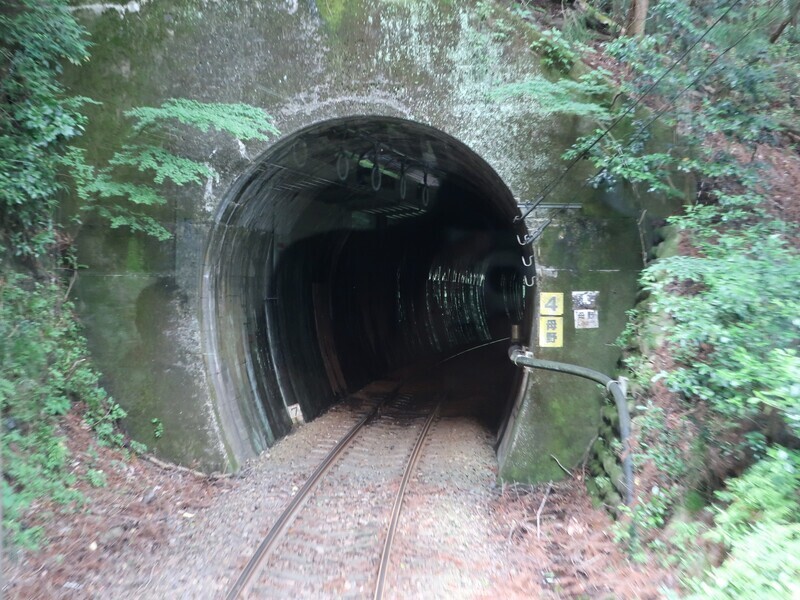 2025.5.27 (77) ほくのういき - はんのとんねる 1600-1200