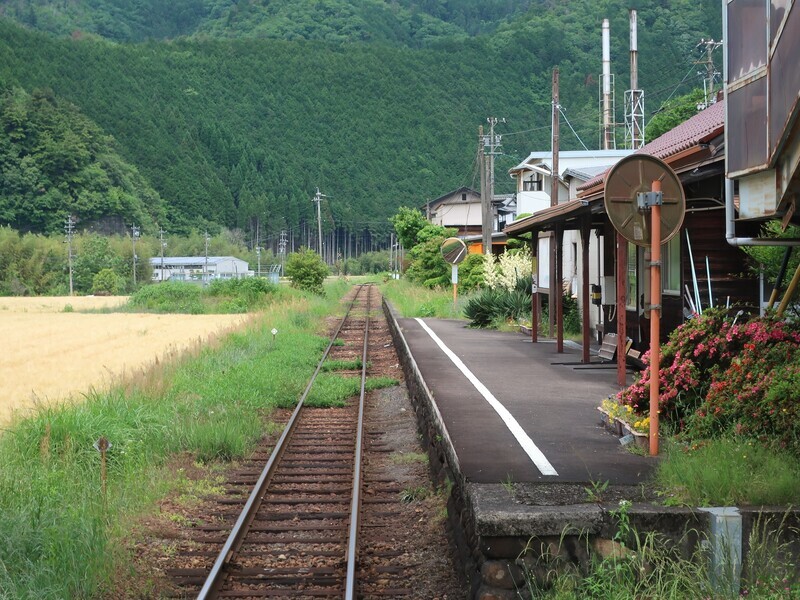 2025.5.27 (95) ほくのういき - みなみかりやす 1600-1200