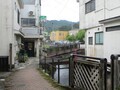 2025.5.27 (171) みのしろとり - えきまえばしきたいり 1800-1350