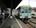 2025.5.27 (173) みのしろとり - みのおおたいき 1770-1350
