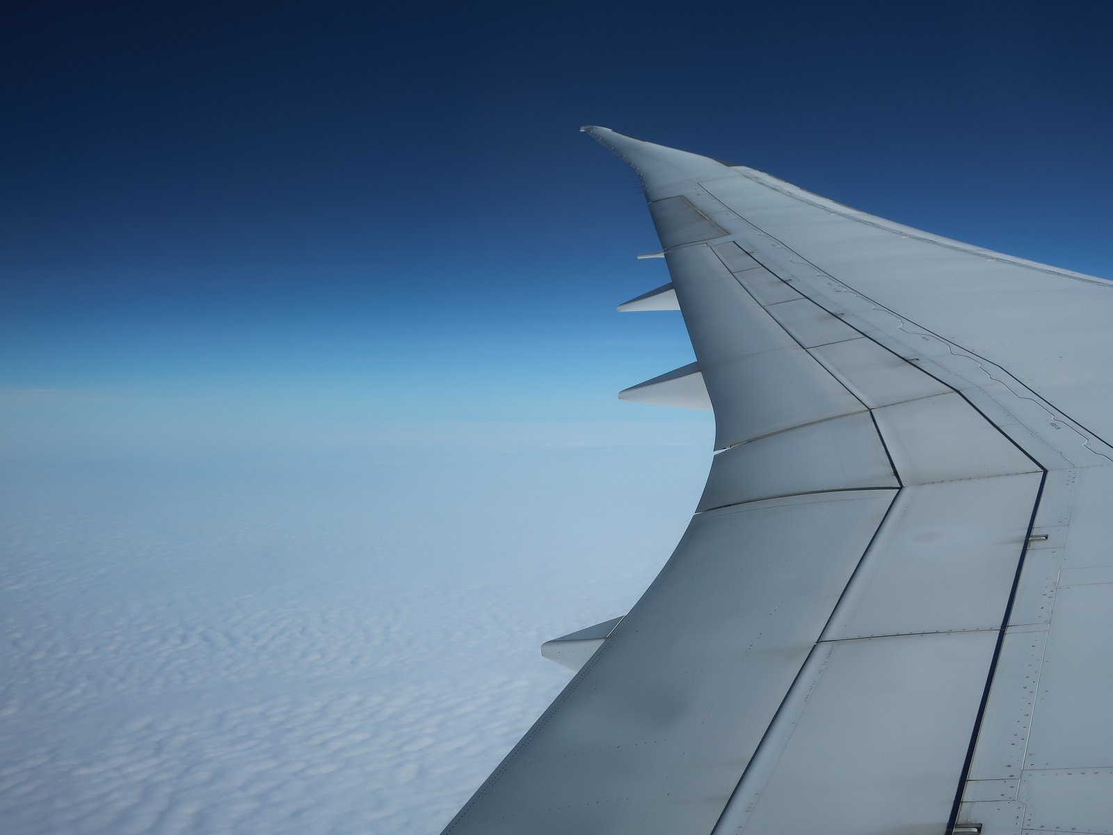 2025.11 (30) でぃっりーいきじゃるき - くものうみ 1600-1200