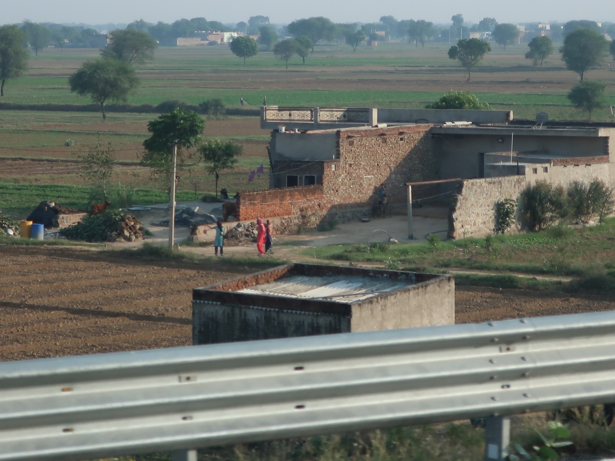 2025.11 (102) じゃいぷーるどうちゅう - のうか 2000-1500