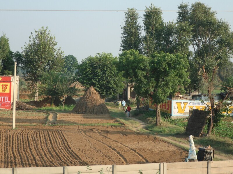 2025.11 (103) じゃいぷーるどうちゅう - のうち 2000-1500