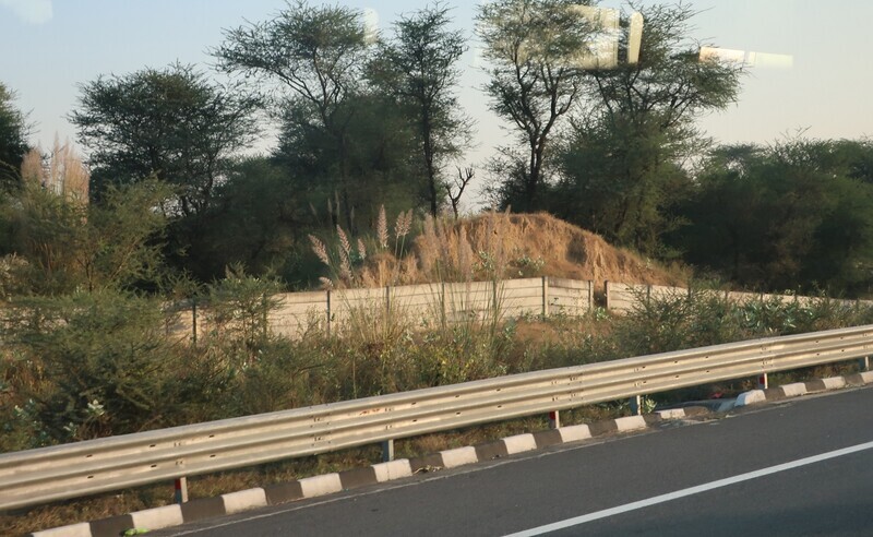 2025.11 (108) じゃいぷーるどうちゅう - やまいり 1560-960