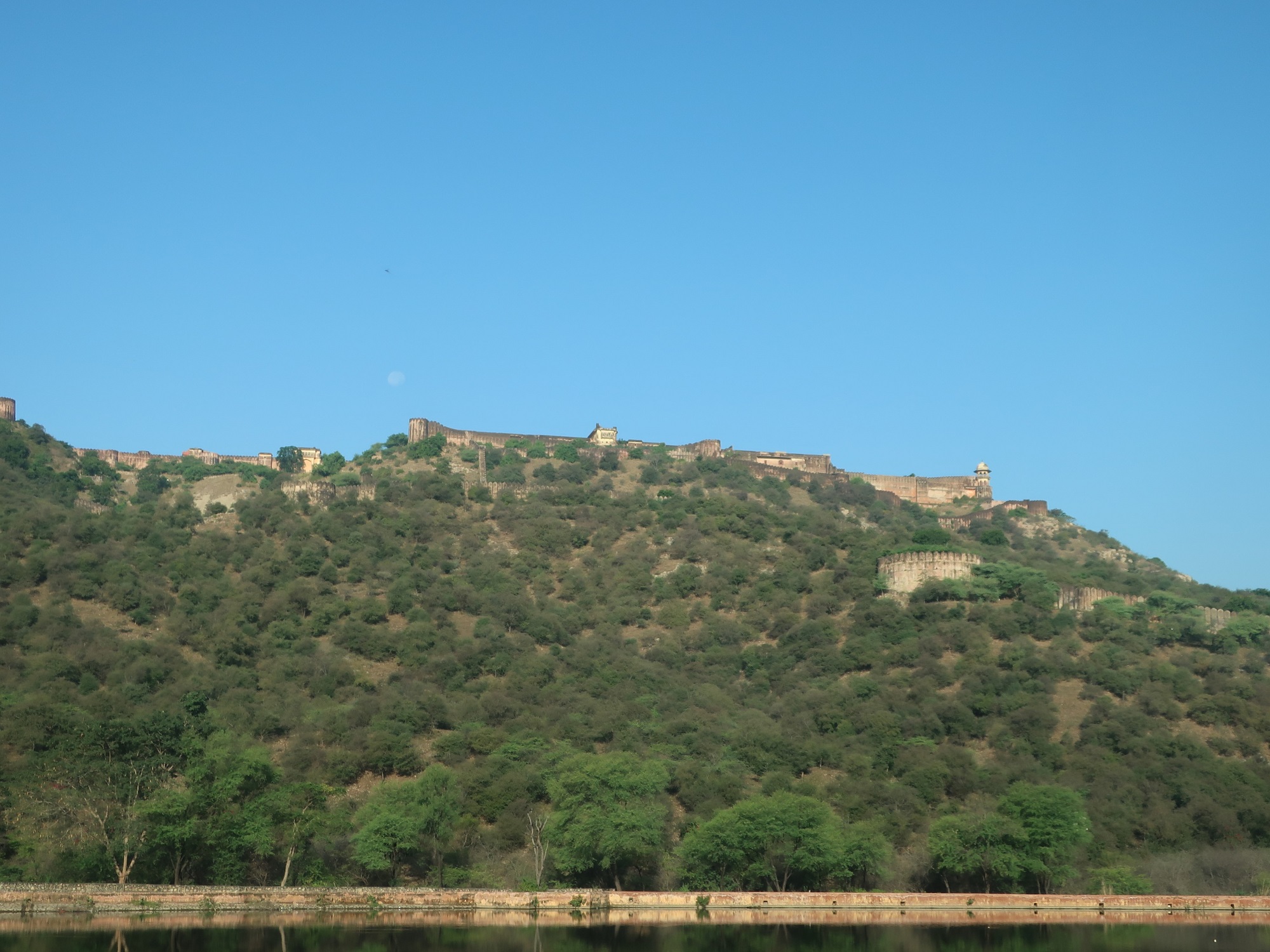 2025.11 (132) あんべーる - しろ 2000-1500