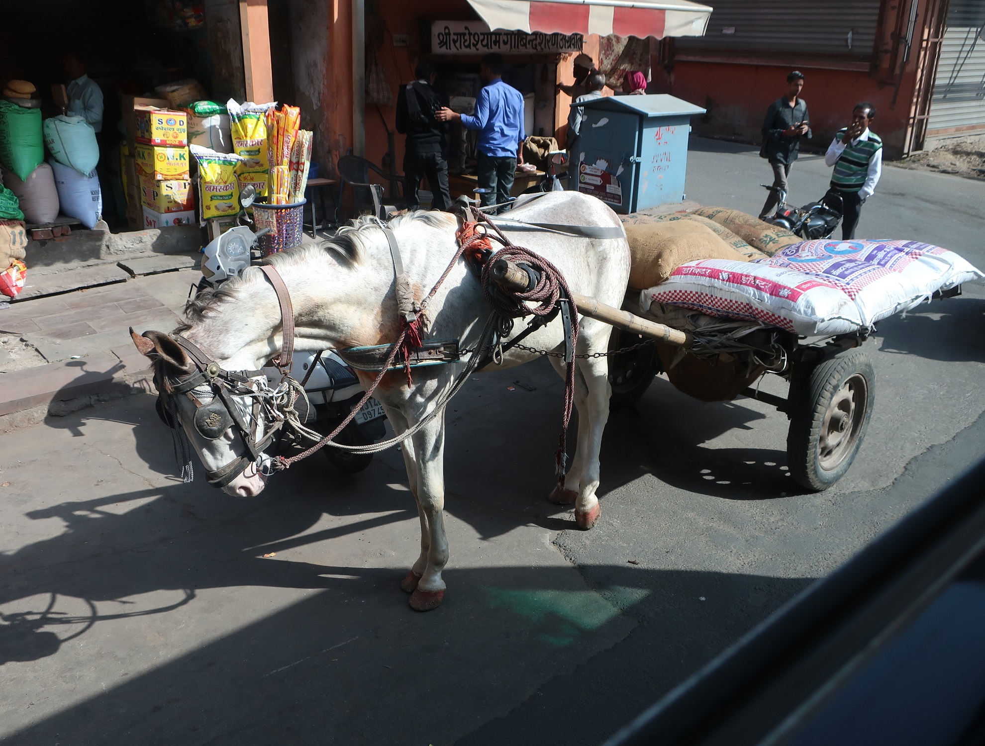 2025.11 (173) じゃいぷーる - ばしゃ 1980-1500