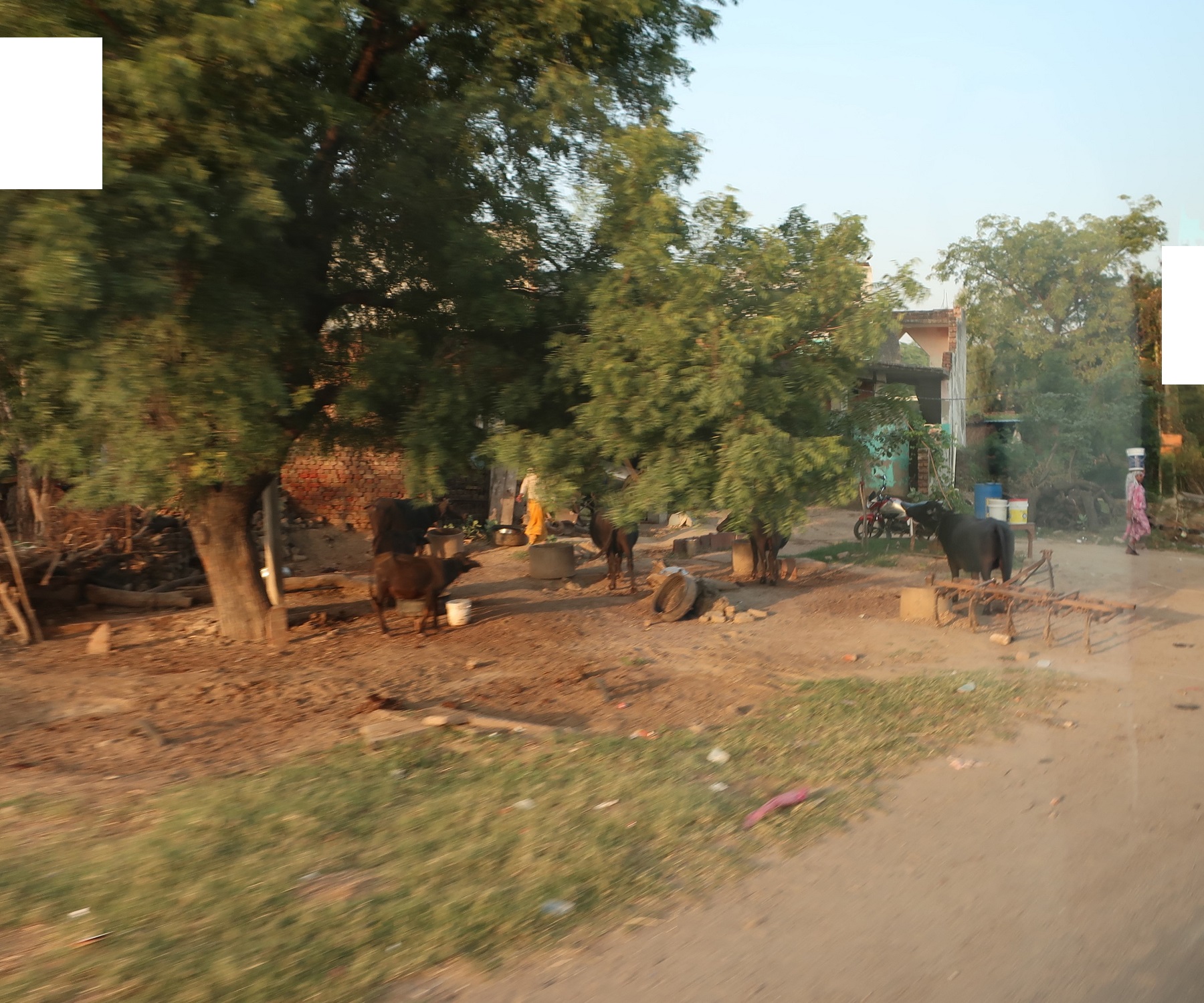 2025.11 (232) あーぐらーどうちゅう - のうか 1800-1500