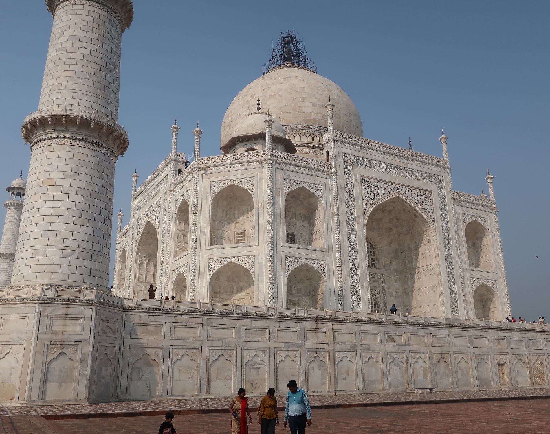 2025.11 (1017) たーじまはる - みぎ45どから 1990-1500