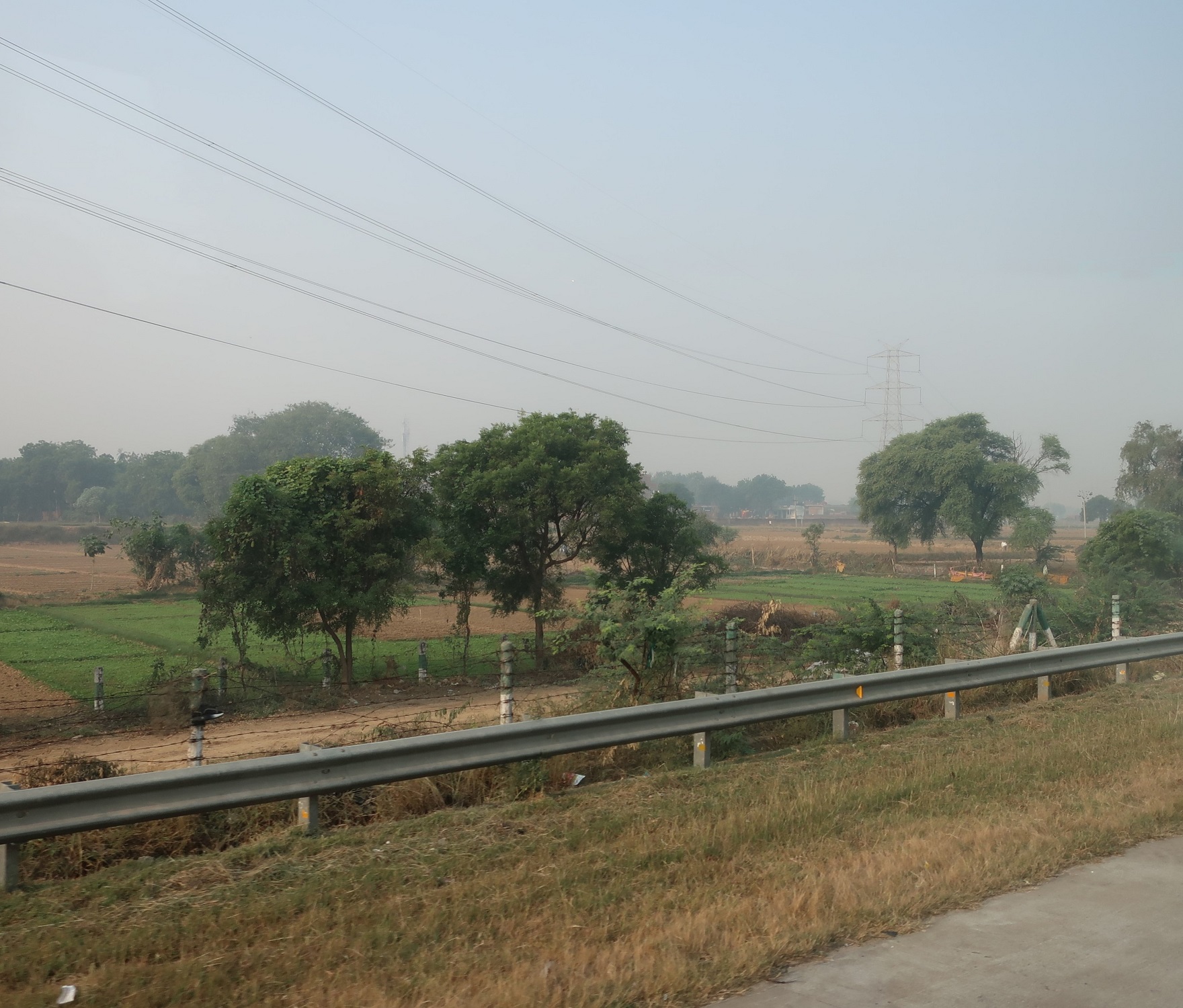 2025.11 (1071) でぃっりーどうちゅう - たんぼ 1760-1500