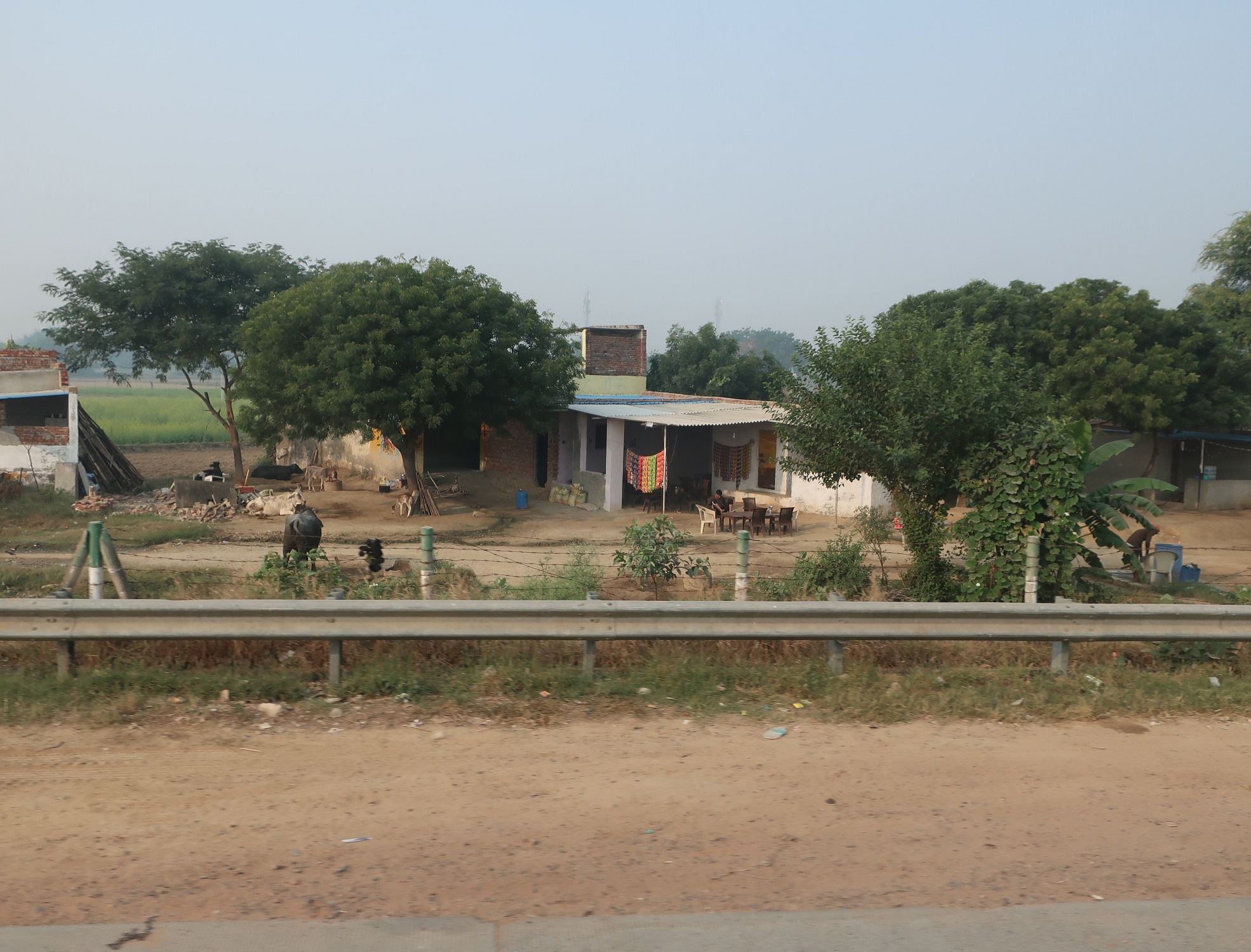 2025.11 (1076) でぃっりーどうちゅう - のうか 1970-1500