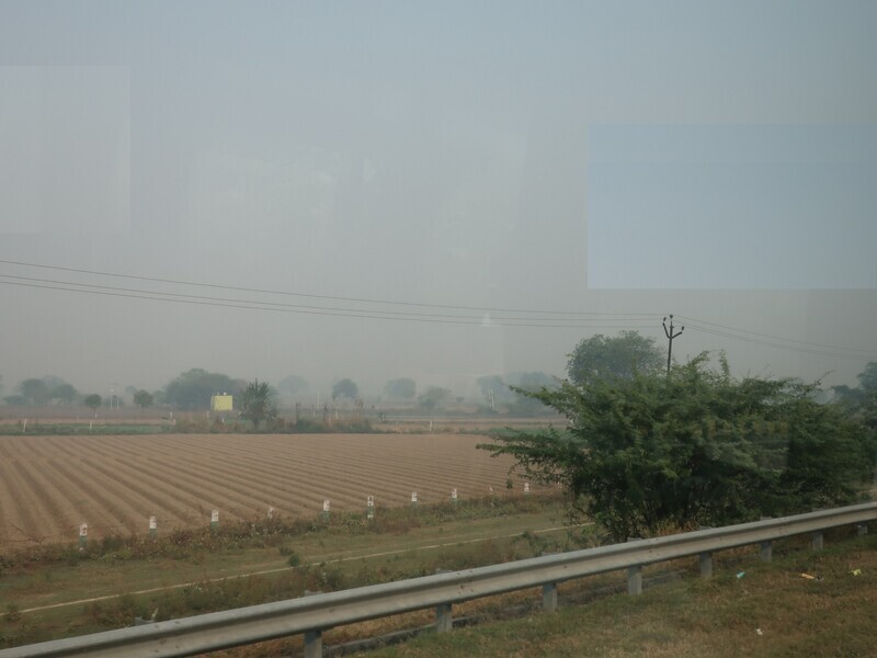 2025.11 (1078) でぃっりーどうちゅう - のうそん 2000-1500