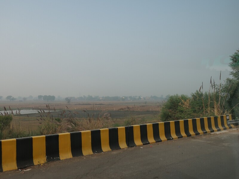 2025.11 (1084) でぃっりーどうちゅう - たんぼ 2000-1500