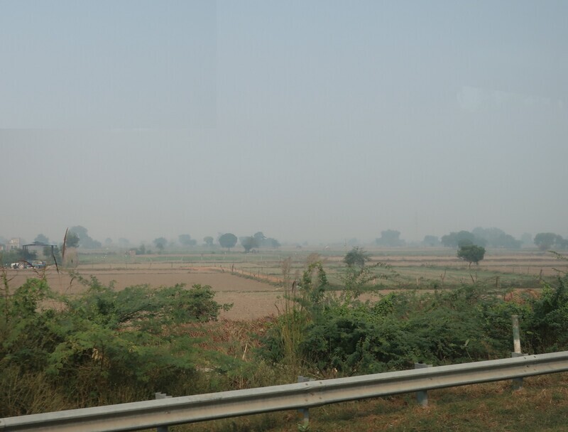 2025.11 (1085) でぃっりーどうちゅう - たんぼ 1580-1200