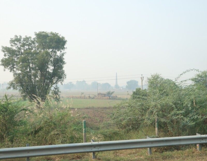 2025.11 (1089) でぃっりーどうちゅう - のうさぎょう 1920-1500