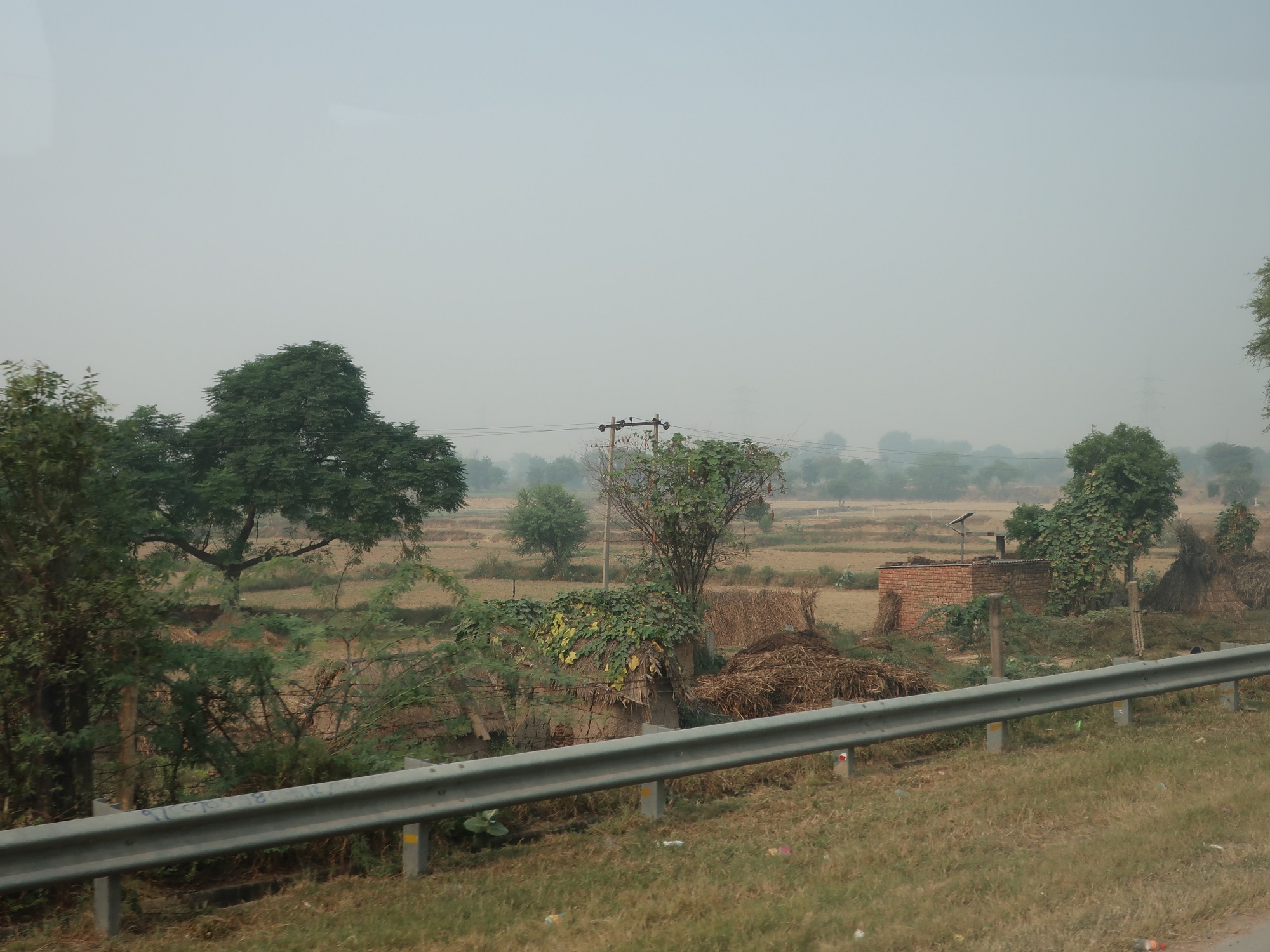 2025.11 (1090) でぃっりーどうちゅう - のうち 2000-1500