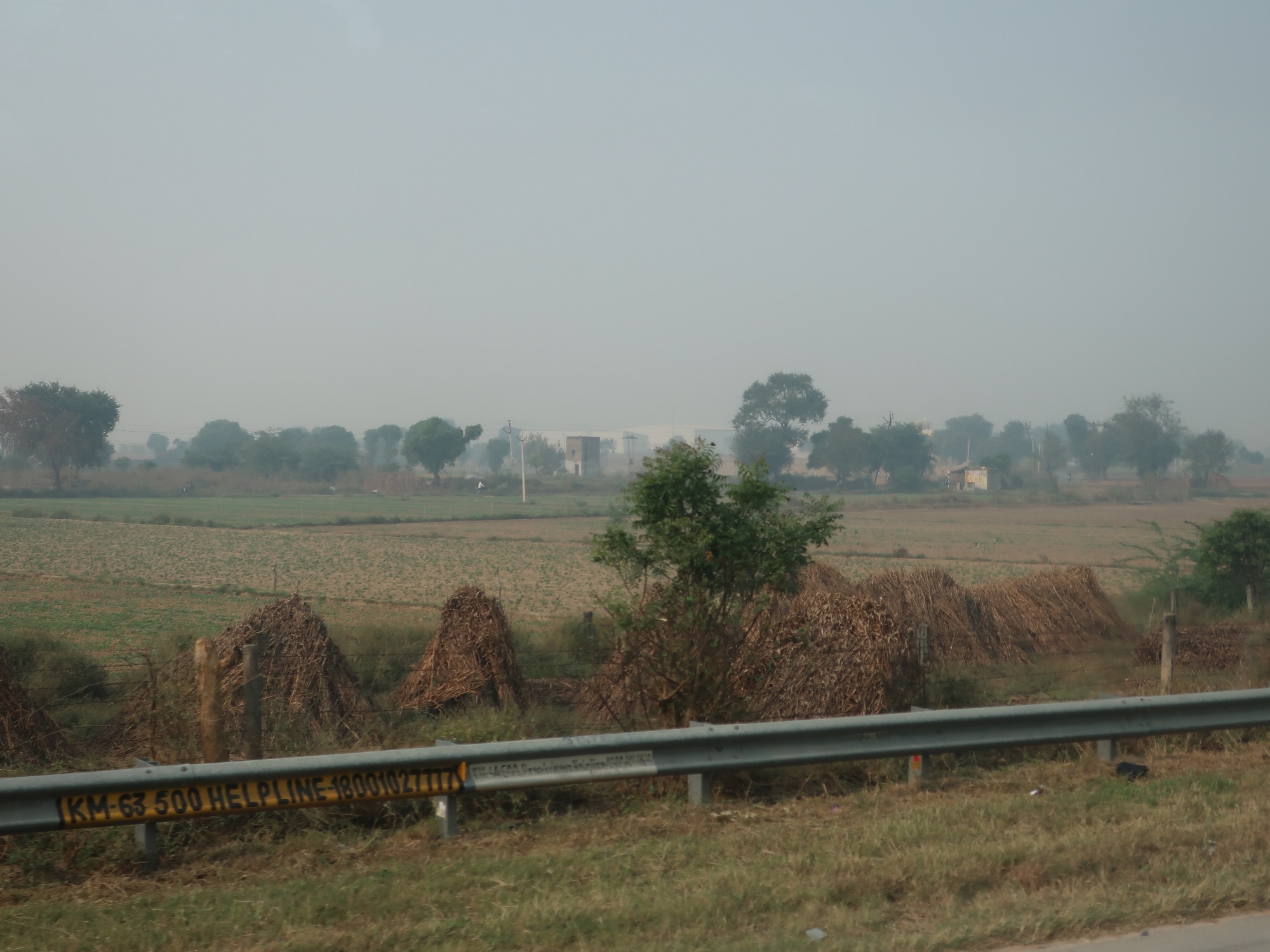 2025.11 (1091) でぃっりーどうちゅう - のうちのむこうにこうば 2000-1500