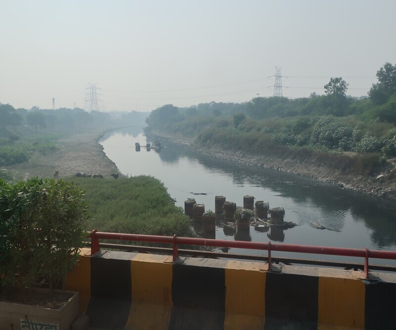 2025.11 (1106) でぃっりーどうちゅう - やむなーがわ 1800-1500