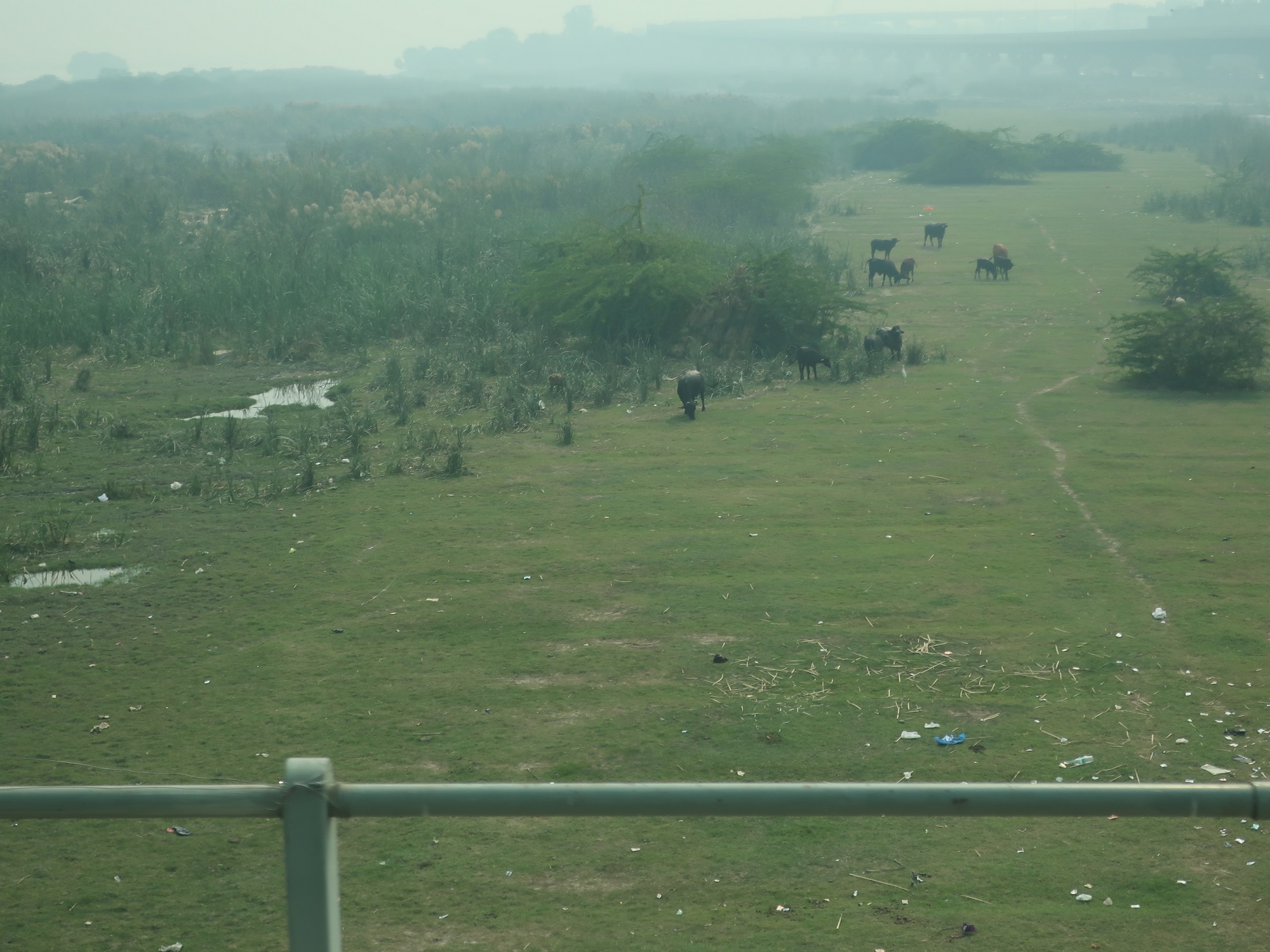 2025.11 (1113) でぃっりーどうちゅう - やむなーがわら 2000-1500