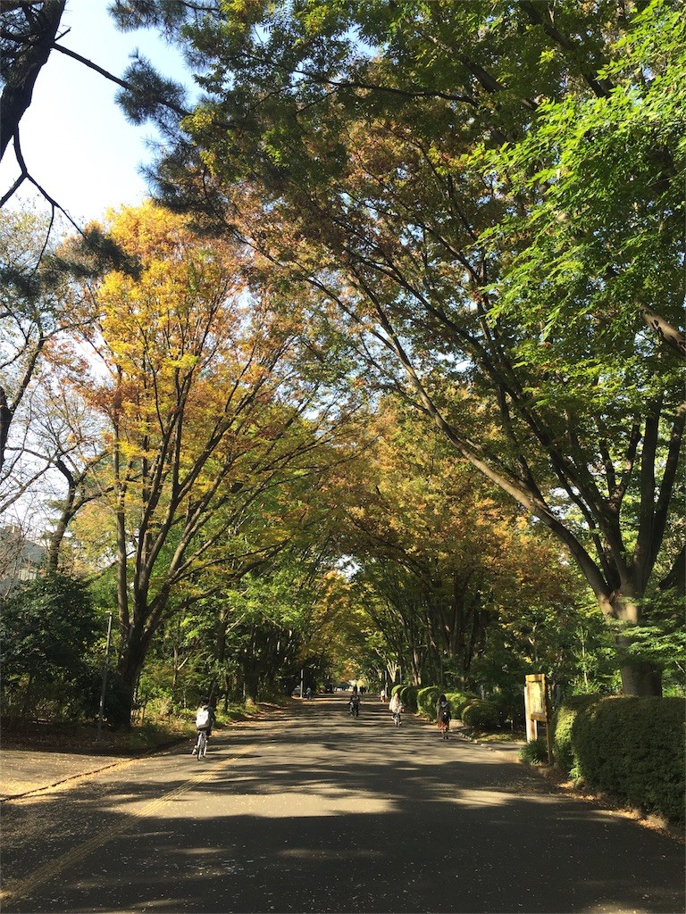 f:id:iwasen:20161112093049j:image