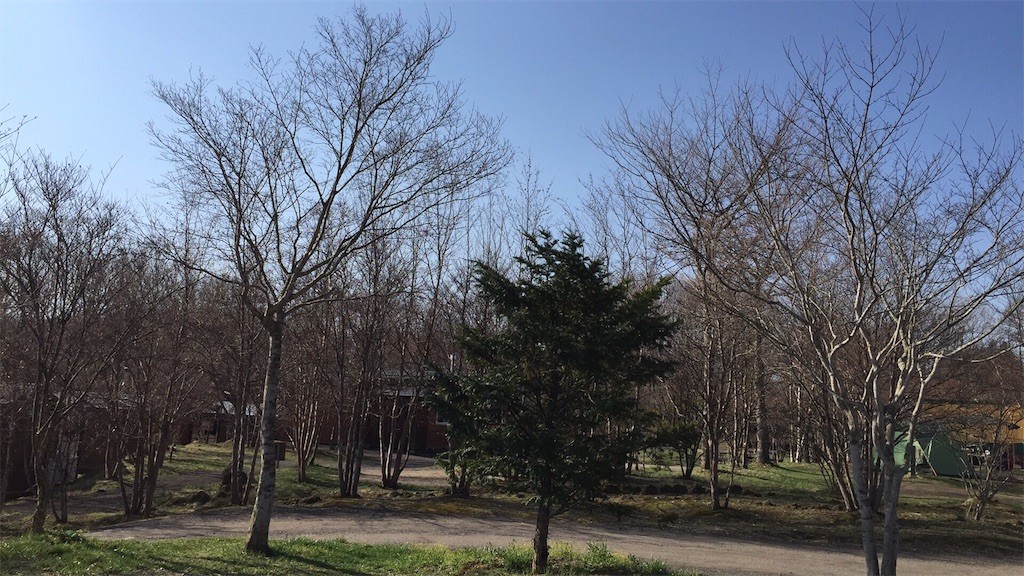 f:id:iwasen:20170429074846j:image