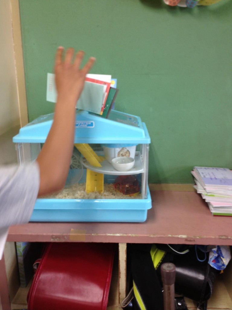 f:id:iwasen:20170620073319j:plain