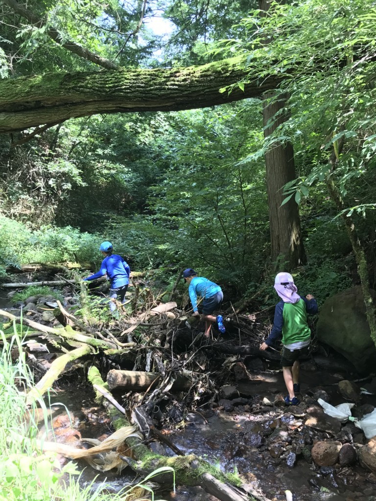 f:id:iwasen:20170806125434j:plain f:id:iwasen:20170806125434j:plain