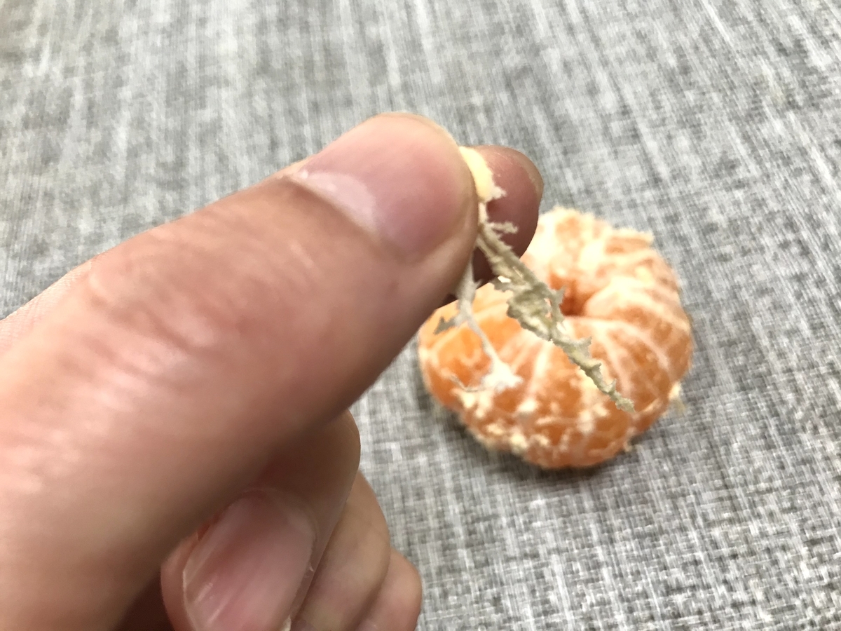 みかんの白いスジは食べるべきか 捨てる派の人が絶望するレベルの驚異のスジパワーを公開 なかpの広報室 みかんの白いスジは食べるべきか 捨てる派の人が絶望するレベルの驚異のスジパワーを公開 なかpの広報室