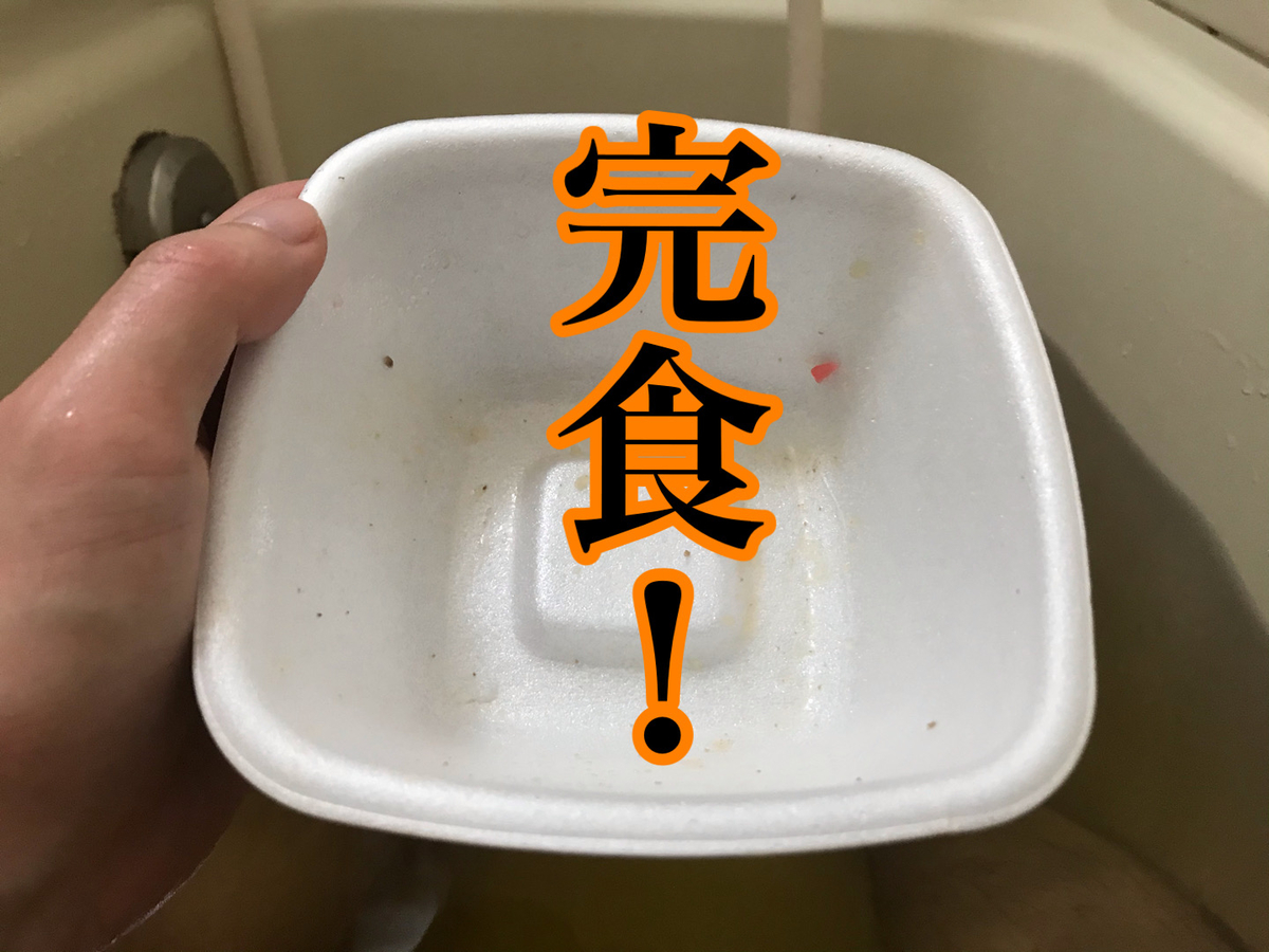 f:id:iwashi000:20200212181302j:plain