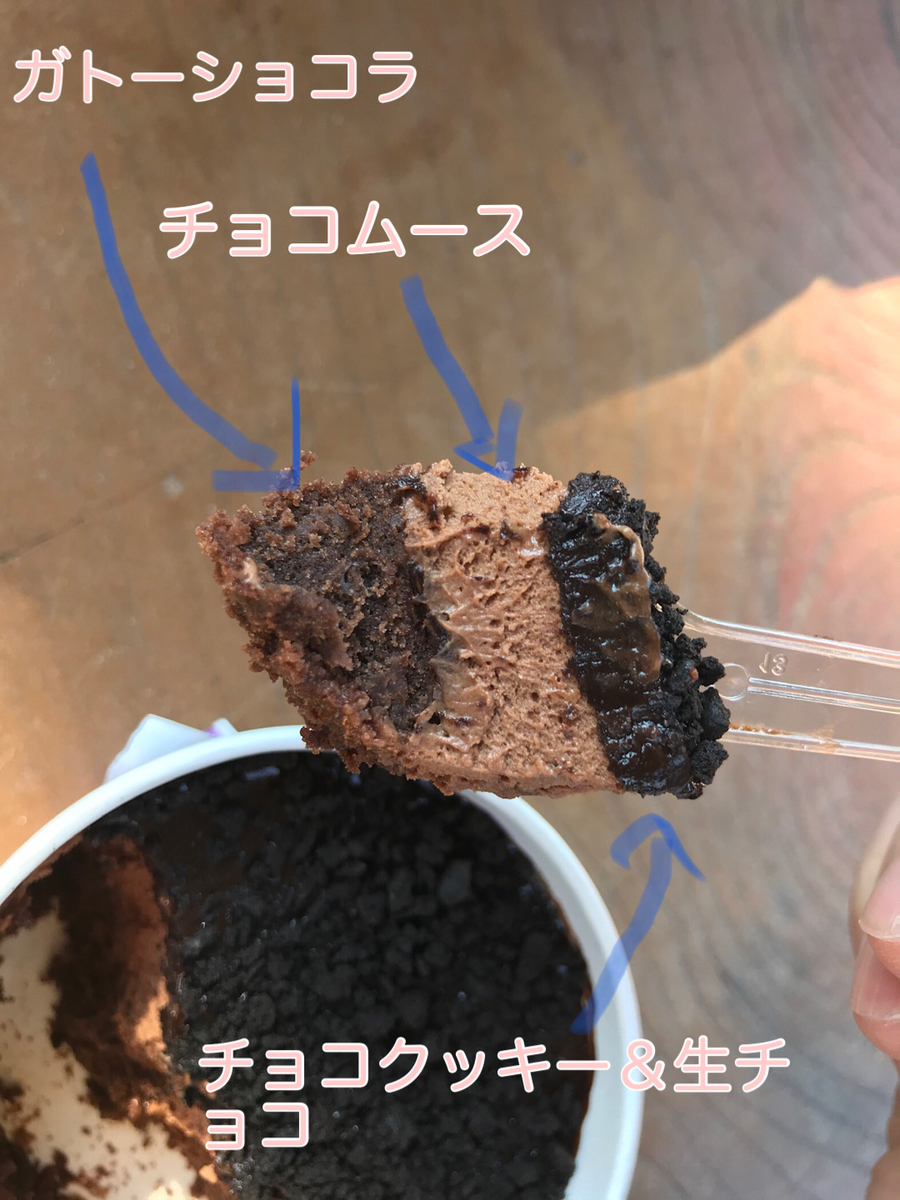 f:id:iwashi000:20200213204706j:plain