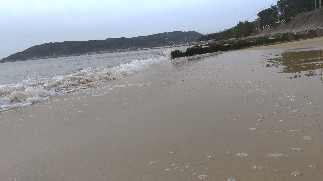 f:id:iwashi0707:20220924191301j:image