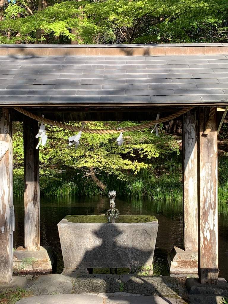 f:id:iwashi3zu:20210430091757j:image