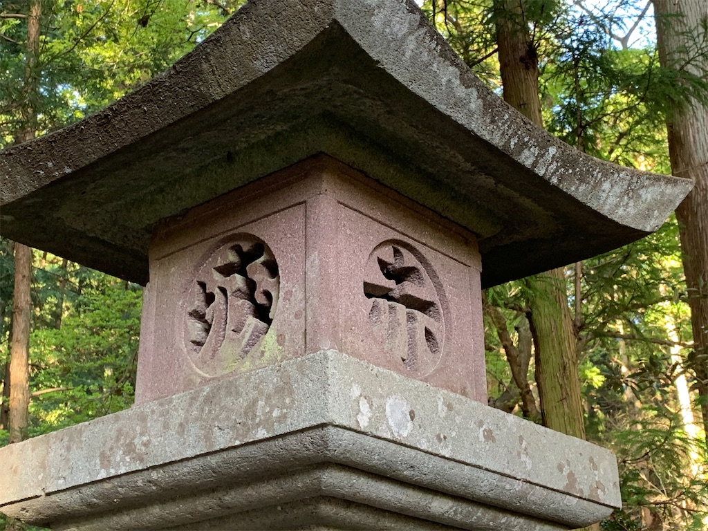 f:id:iwashi3zu:20210430092019j:image