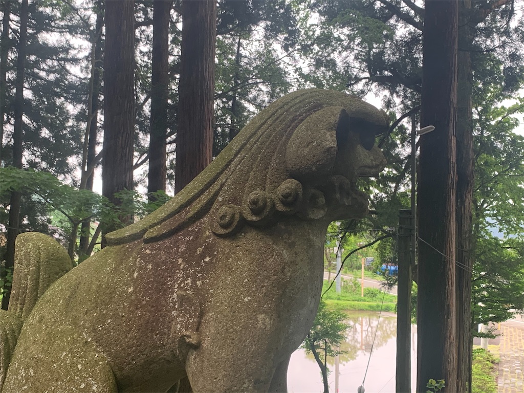 f:id:iwashi3zu:20210526111049j:image
