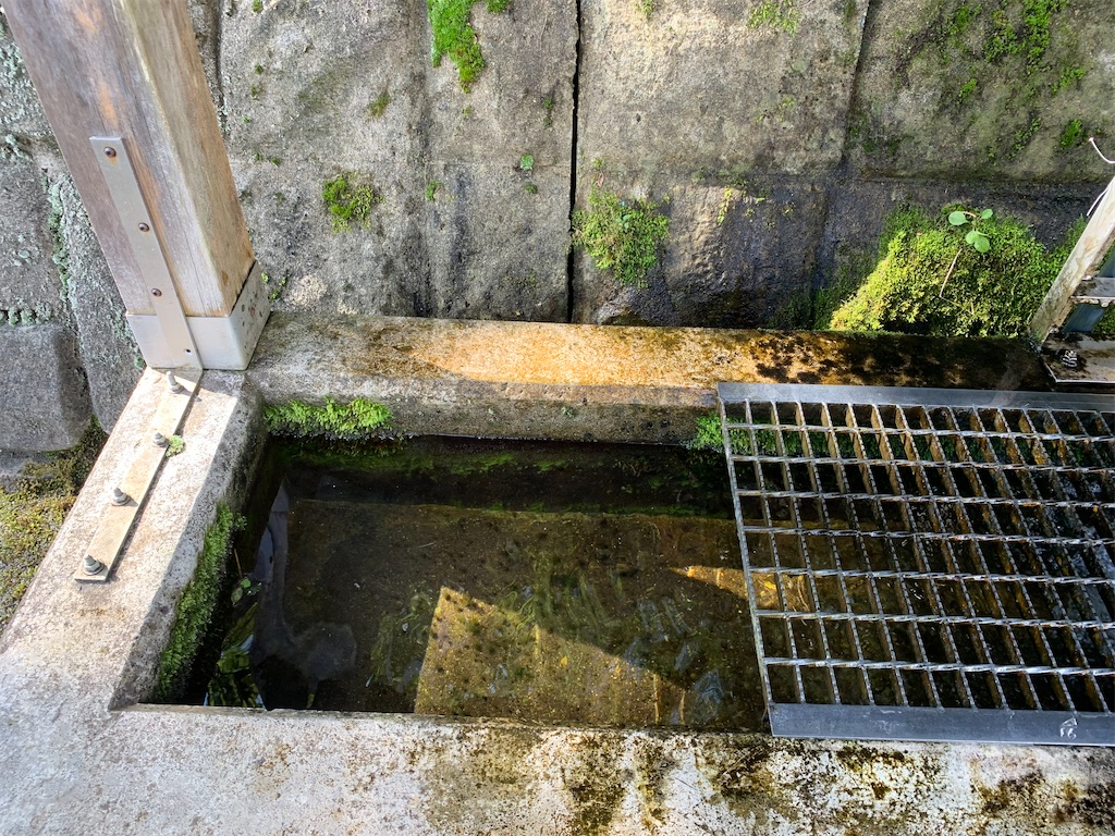 f:id:iwashi3zu:20210917164855j:image