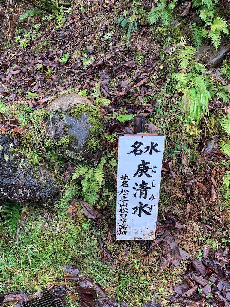 f:id:iwashi3zu:20210922092815j:image