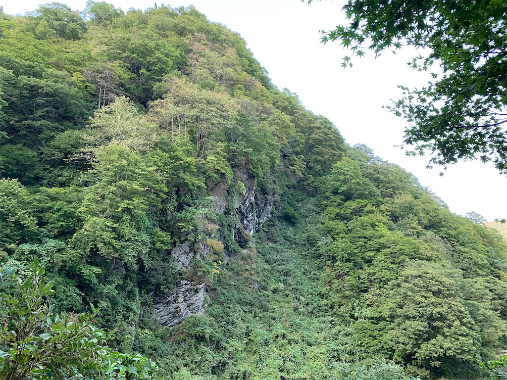 f:id:iwashi3zu:20211021113947j:image
