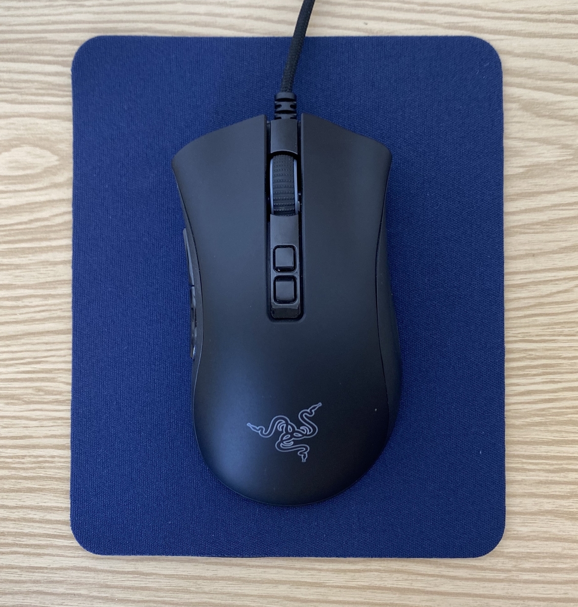 f:id:iwashi53:20210805132641j:plain