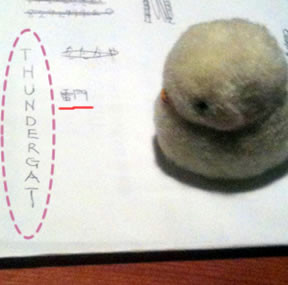 f:id:iwasiman:20111022213709j:image