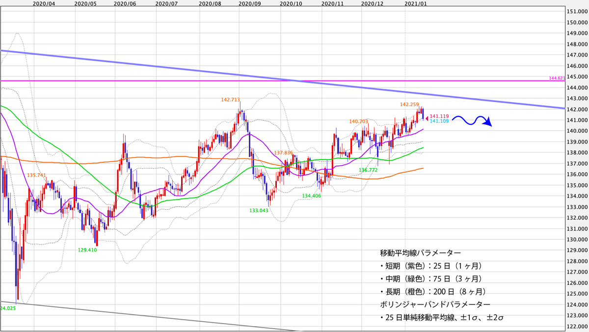 f:id:iwata0605:20210118073855j:plain