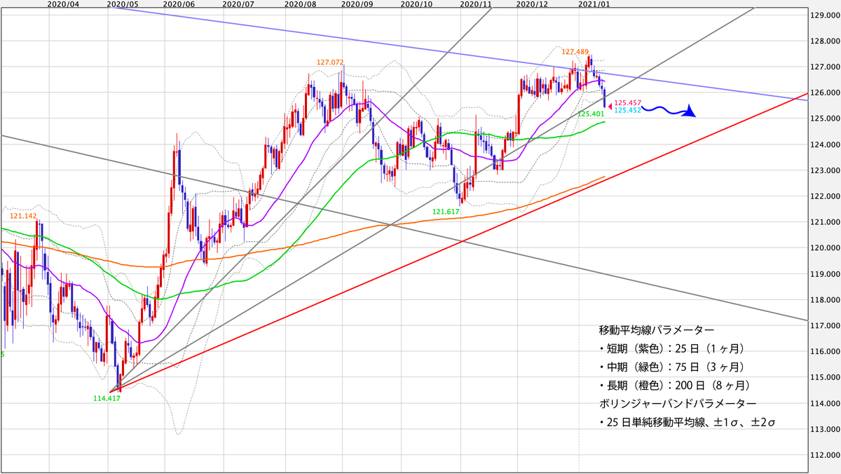 f:id:iwata0605:20210118074005j:plain
