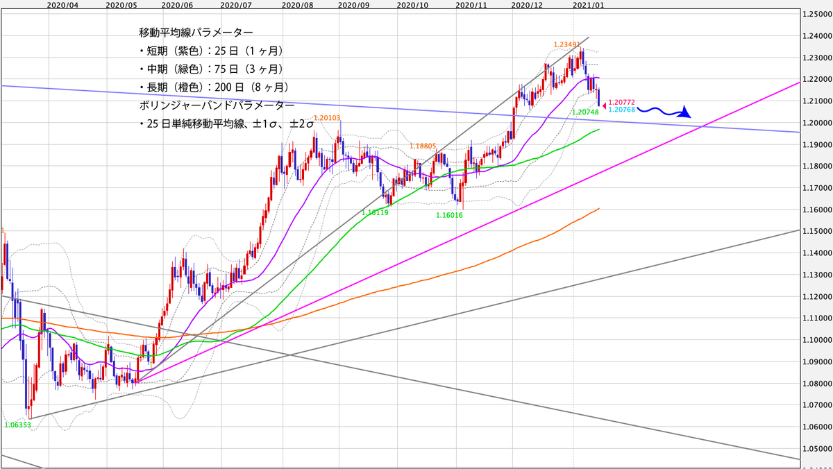 f:id:iwata0605:20210118074048j:plain