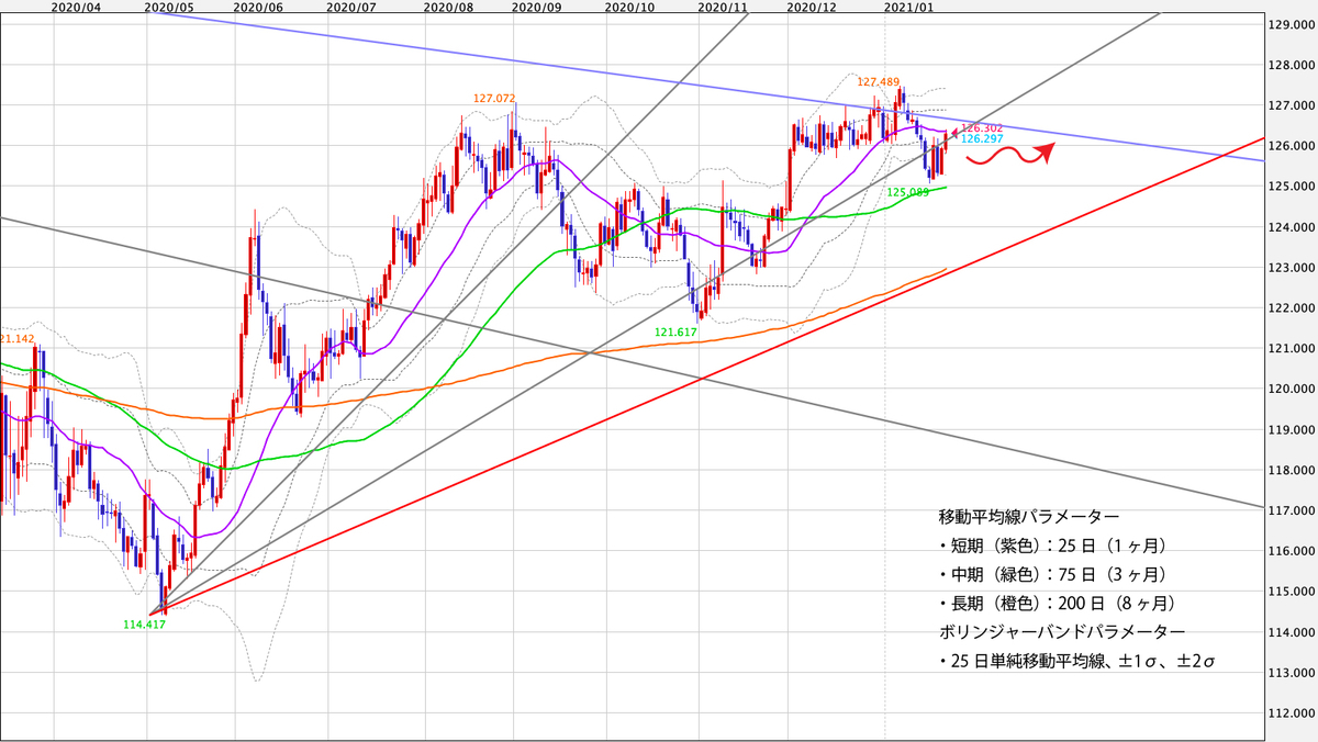 f:id:iwata0605:20210125061340j:plain
