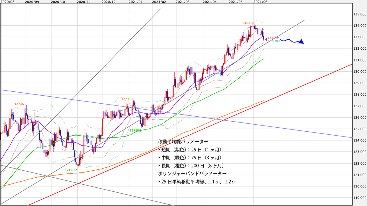 f:id:iwata0605:20210614055533j:plain