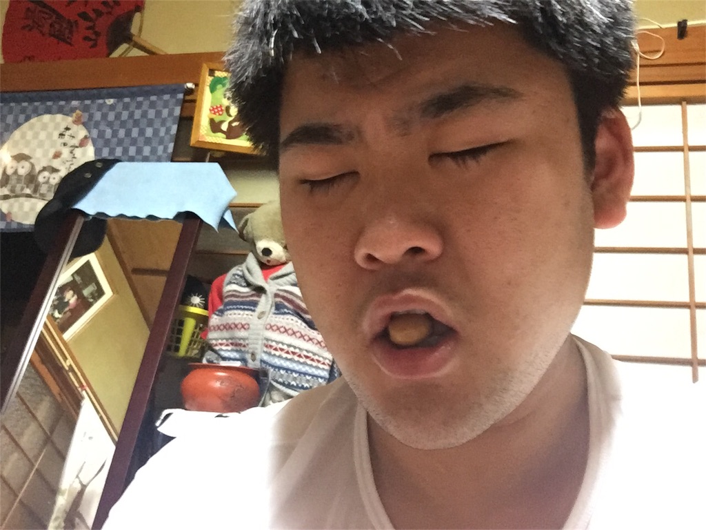 f:id:iwatenoheiwa:20171031211758j:image