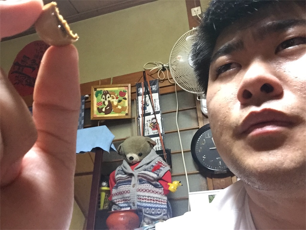 f:id:iwatenoheiwa:20171031212018j:image