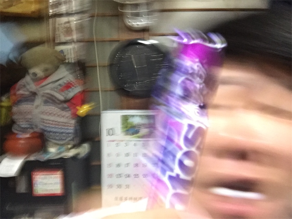 f:id:iwatenoheiwa:20171101125022j:image