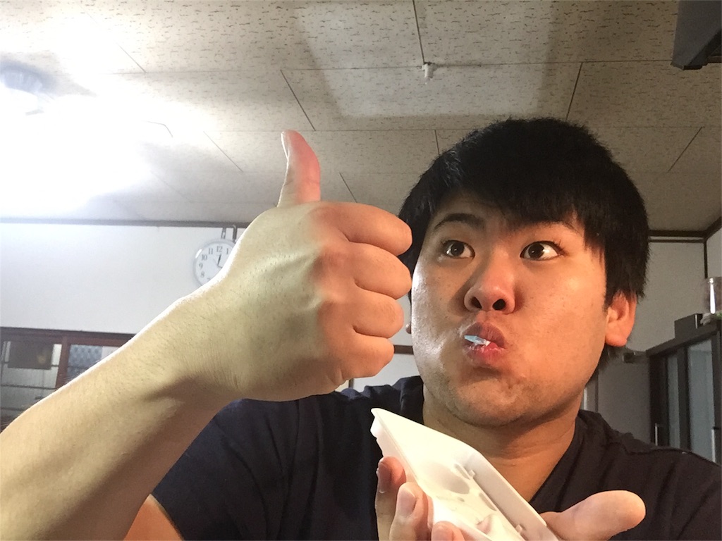 f:id:iwatenoheiwa:20171204065435j:image