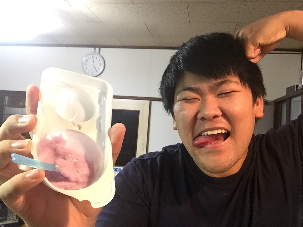 f:id:iwatenoheiwa:20171204070209j:image